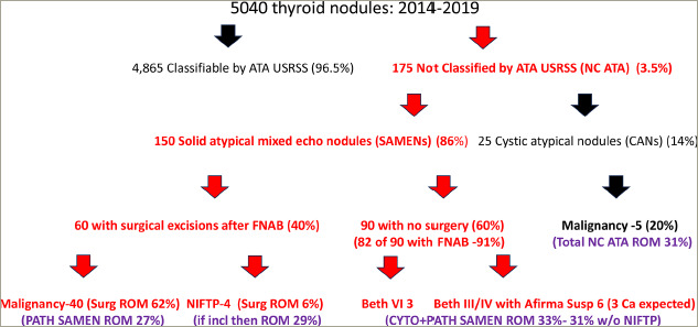 Challenges in Risk Stratification of Solid Atypical Mixed Echogenicity Thyroid Nodules.