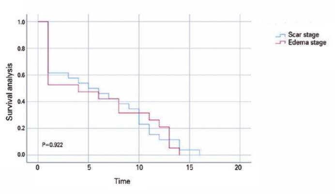 Comparison of keratoplasty outcomes at the scar versus edema stages of keratoconus.
