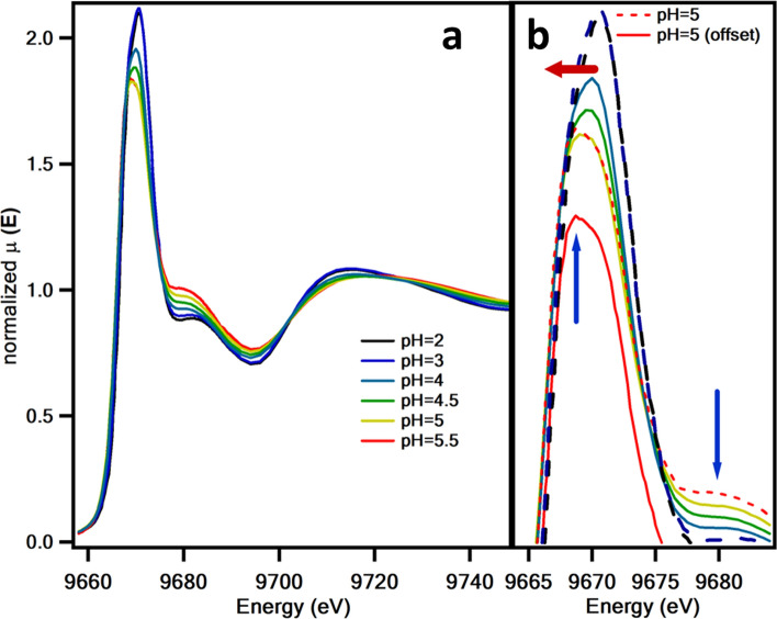 Structure and complexation mechanism of aqueous Zn(II)-acetate complex studied by XAFS and Raman spectroscopies