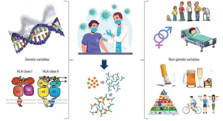 Vaccinomics and adversomics: key elements for a personalized vaccinology.