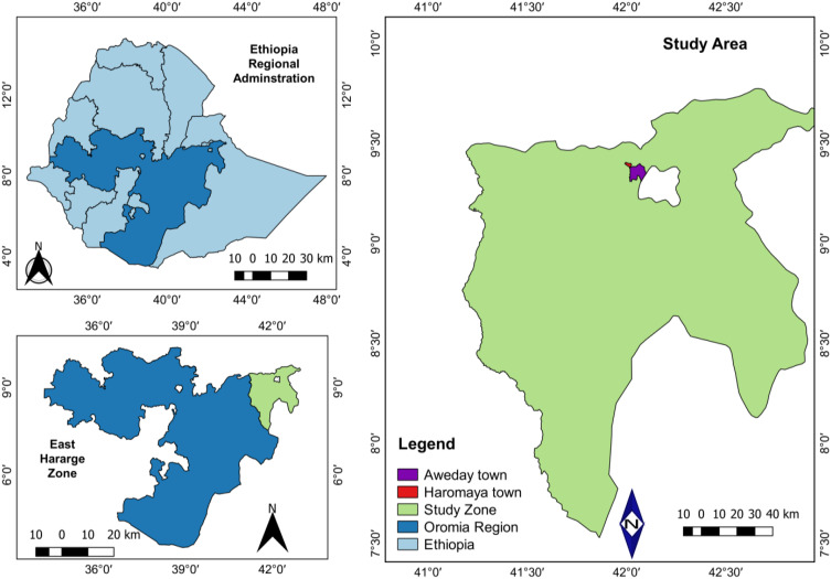 Prevalence of Bovine Schistosomiasis and Associated Risk Factors in and Around Haramaya, Oromia Region, East Ethiopia.