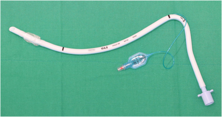 Nasotracheal intubation in pediatrics: a narrative review.