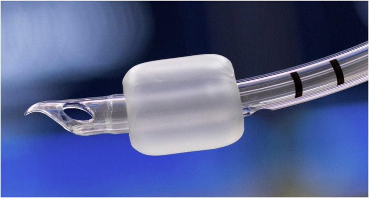 Nasotracheal intubation in pediatrics: a narrative review.