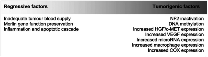 Spontaneous Regression of a Large Vestibular Schwannoma: Is Nonoperative Management Reasonable?