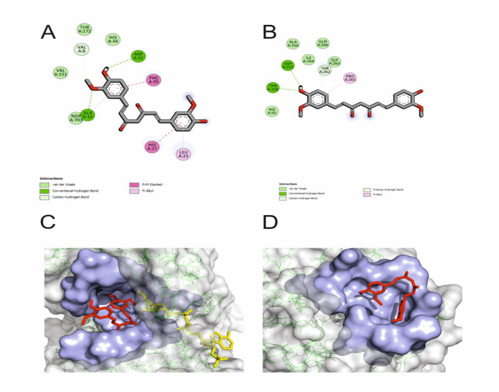 Cytotoxic and Immunomodulatory Activity of Curcumin and Chitosan on Experimental Toxoplasmosis.