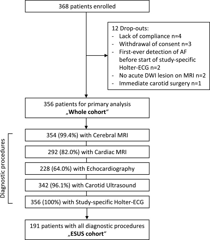 Enhanced diagnostic workup increases pathological findings in patients with acute ischaemic stroke: results of the prospective HEBRAS study.