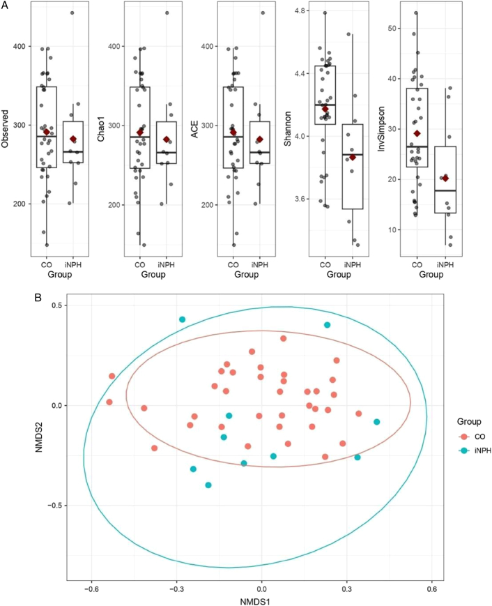 Gut Microbiome Changes in Patients With Idiopathic Normal Pressure Hydrocephalus.