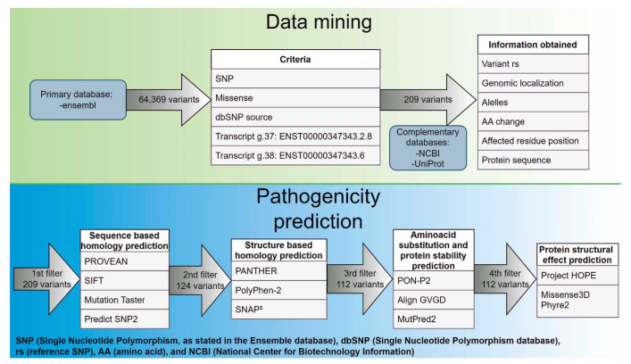 <i>In-Silico</i> Method for Predicting Pathogenic Missense Variants Using Online Tools: AURKA Gene as a Model.
