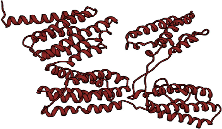 Designing a Multiple-Epitope Vaccine Candidate against <i>Leishmania major</i> and <i>Leishmania infantum</i> for Monocyte-Derived Exosome Preparation.