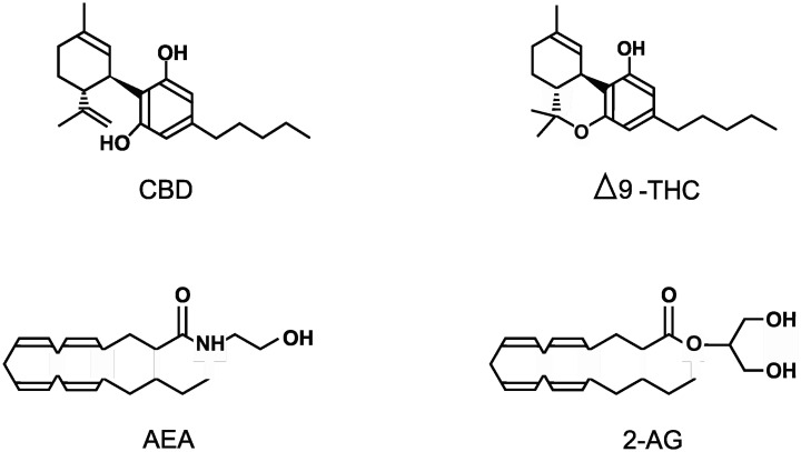 A review of the direct targets of the cannabinoids cannabidiol, Δ9-tetrahydrocannabinol, N-arachidonoylethanolamine and 2-arachidonoylglycerol.