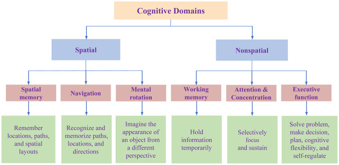Vestibular dysfunction leads to cognitive impairments: State of knowledge in the field and clinical perspectives (Review).
