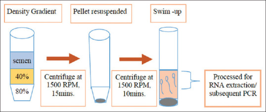 Semen Washing and Intrauterine Insemination for Reducing the Risk of Human Immunodeficiency Virus Transmission in Serodiscordant Couples: A Cross-sectional Study.