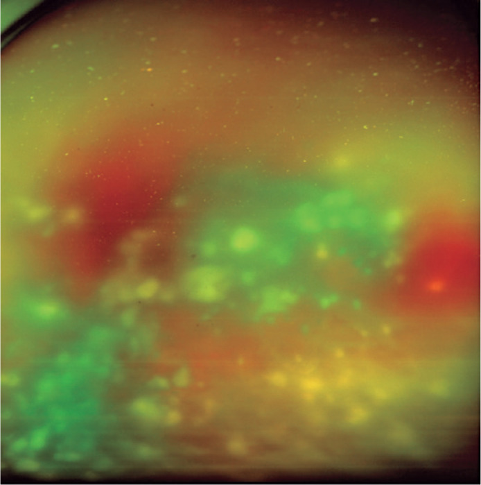 Abstract Image