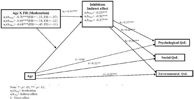 A Moderated Mediation Model of Age-Related Decline in Selective Executive Functions and Quality of Life in Men with Substance Use Disorder.