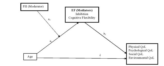 A Moderated Mediation Model of Age-Related Decline in Selective Executive Functions and Quality of Life in Men with Substance Use Disorder.