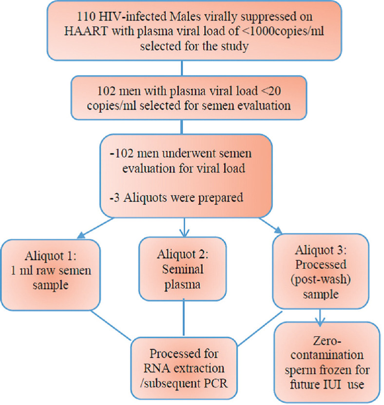 Semen Washing and Intrauterine Insemination for Reducing the Risk of Human Immunodeficiency Virus Transmission in Serodiscordant Couples: A Cross-sectional Study.