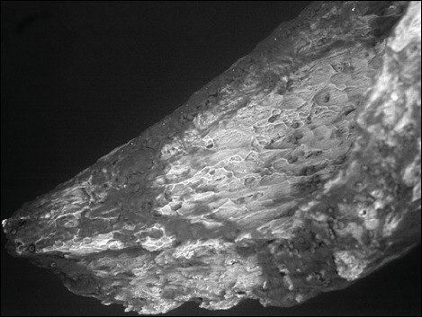 Abstract Image