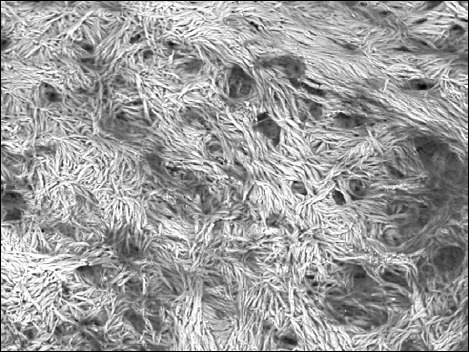 Abstract Image