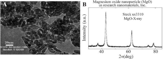 Comparative Analysis of the Effects of Magnesium Oxide Nanoparticles on Sperm Parameters in Fresh and Frozen Samples.