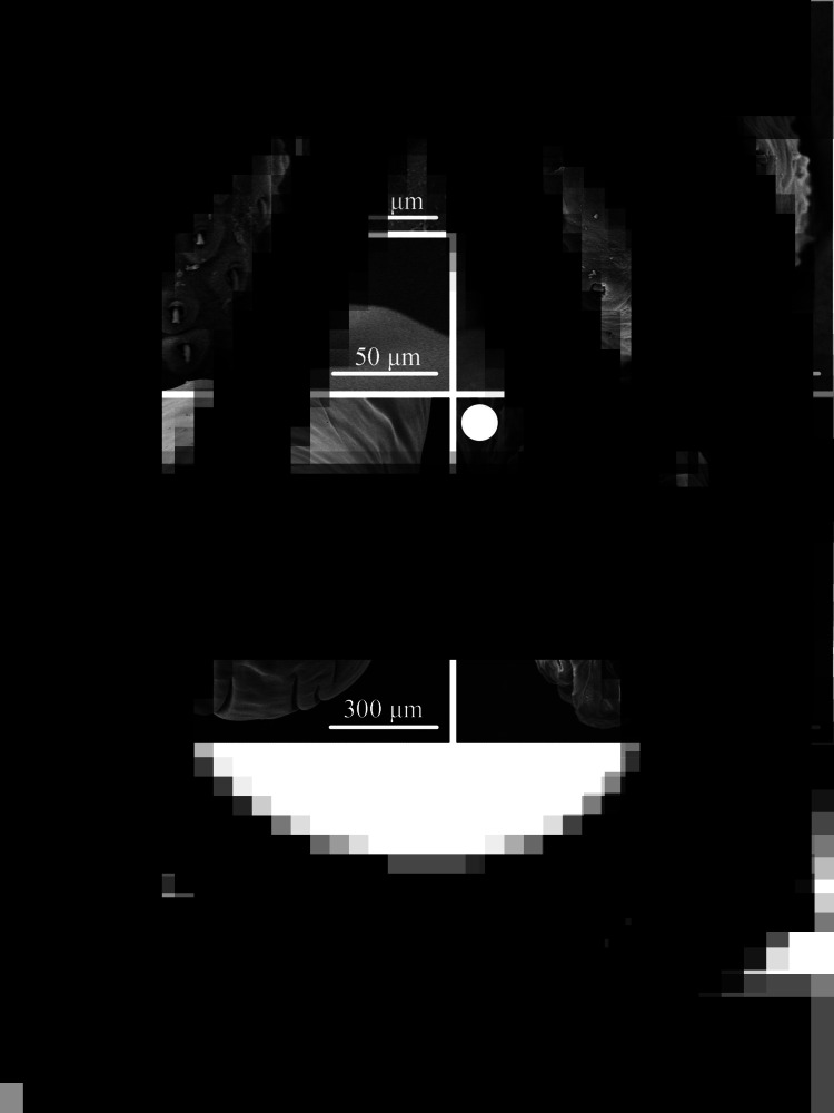 Abstract Image