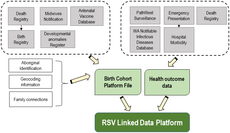 Cohort profile: A population-based record linkage platform to address critical epidemiological evidence gaps in respiratory syncytial virus and other respiratory infections.