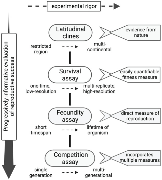 Evaluating the Adaptive Fitness of Circadian Clocks and their Evolution.