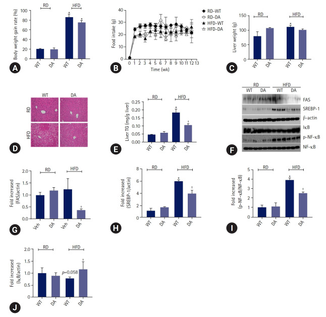 DA-6034 ameliorates hepatic steatosis and inflammation in high fat diet-induced obese mice.