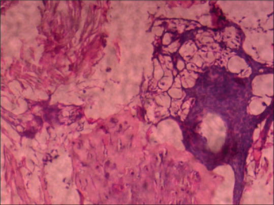 Abstract Image