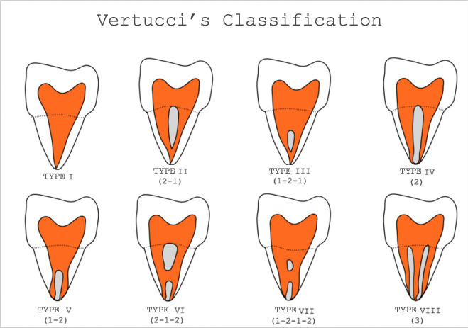 Analysis of morphology and symmetry of the root canal system of incisors, premolars and mandibular molars using CBCT.