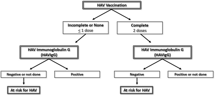 <i>Fixing a Hole</i>: a retrospective cohort study evaluating HAV, HBV, tetanus screening, and vaccination during hospitalization in persons who use substances.