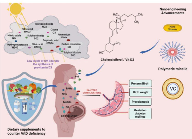 Modulatory Effects of Vitamin D: A Possible Approach to Mitigate Air Pollution Related Pregnancy Complications.