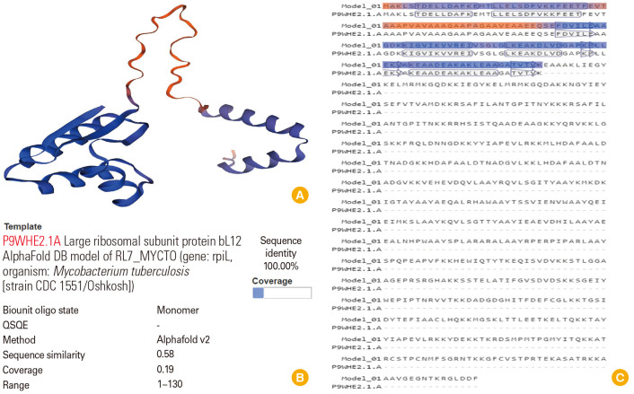 Immunoinformatics studies and design of a novel multi-epitope peptide vaccine against <i>Toxoplasma gondii</i> based on calcium-dependent protein kinases antigens through an <i>in-silico</i> analysis.