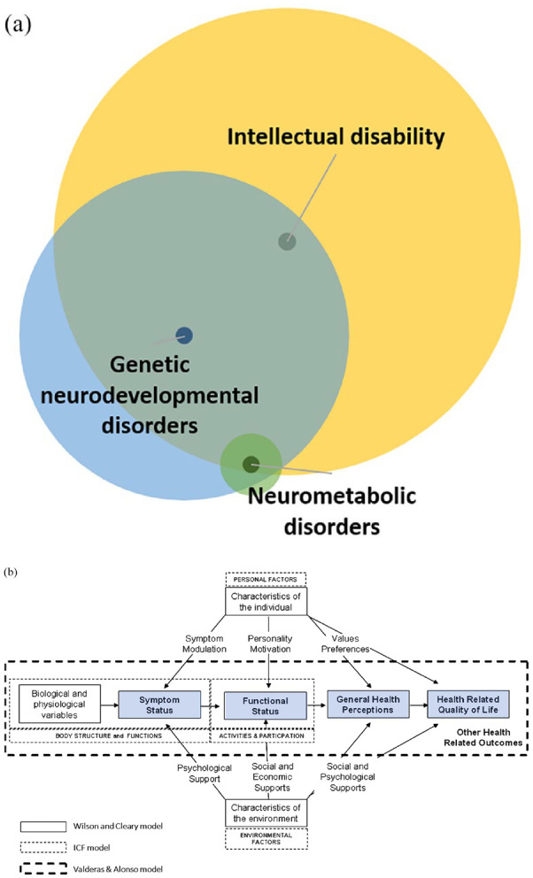 Navigating the outcome maze: a scoping review of outcomes and instruments in clinical trials in genetic neurodevelopmental disorders and intellectual disability.