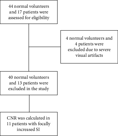 Enhanced Myocardial Tissue Visualization: A Comparative Cardiovascular Magnetic Resonance Study of Gradient-Spin Echo-STIR and Conventional STIR Imaging.