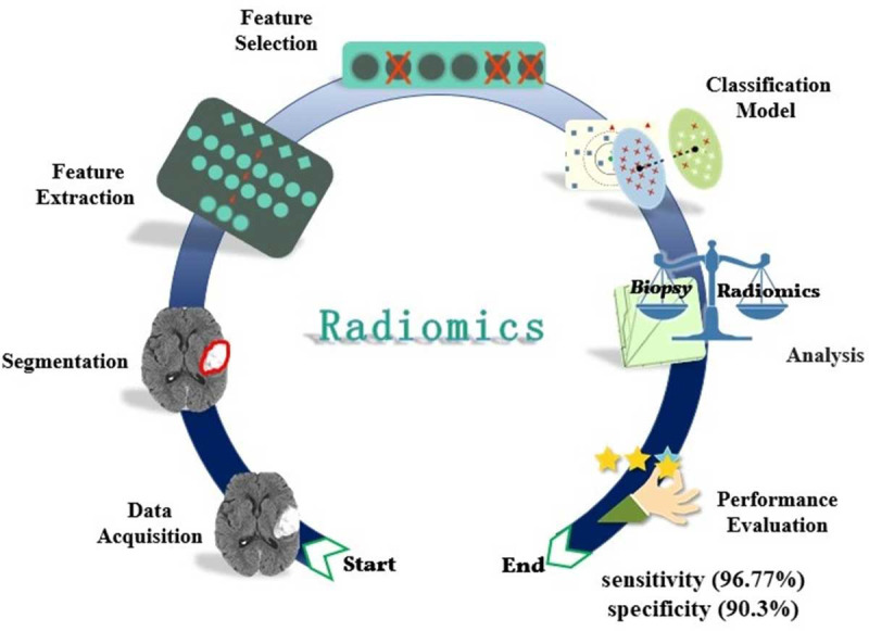 Grading of Gliomas by Contrast-Enhanced CT Radiomics Features.