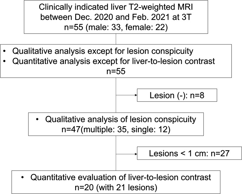 Effect of Deep Learning Reconstruction on Respiratory-triggered T2-weighted MR Imaging of the Liver: A Comparison between the Single-shot Fast Spin-echo and Fast Spin-echo Sequences.