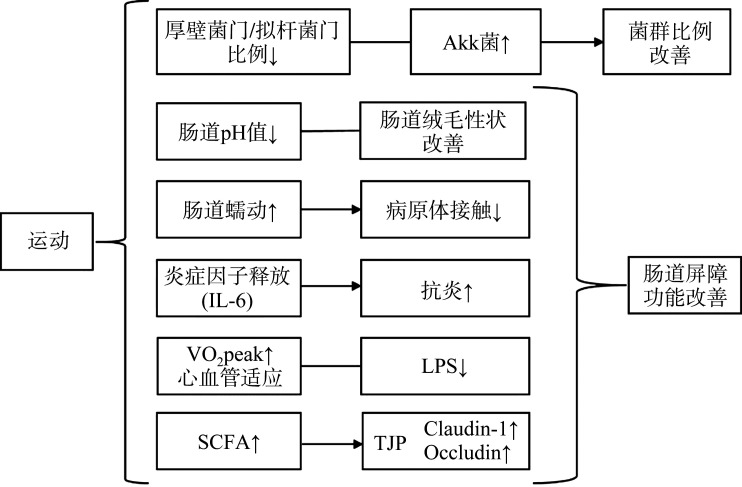 摘要图片