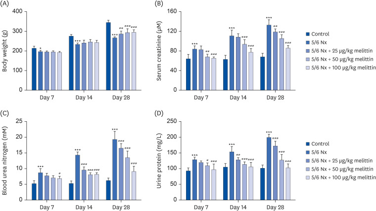 Melittin induces autophagy to alleviate chronic renal failure in 5/6-nephrectomized rats and angiotensin II-induced damage in podocytes.