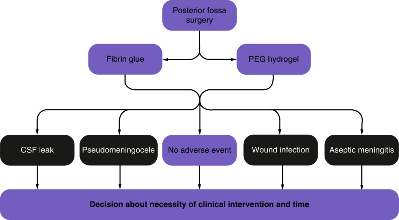 PEG hydrogel sealant versus fibrin glue in posterior fossa surgery: an economic comparison across five European countries.
