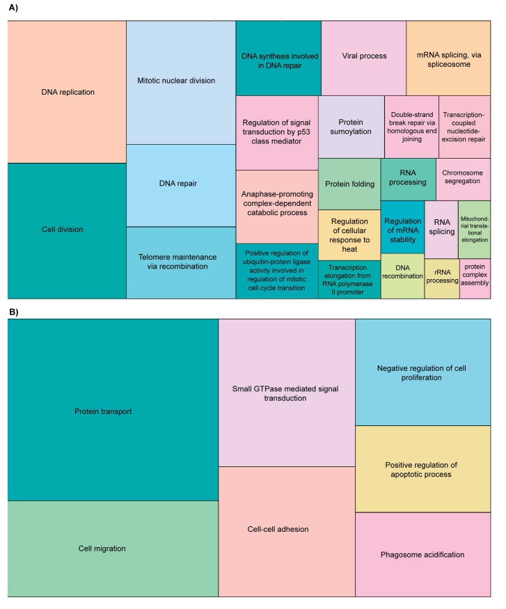 A Meta-analysis of Transcriptome Data to Investigate the Effect of Soy Isoflavones on Breast Cancer Cell.