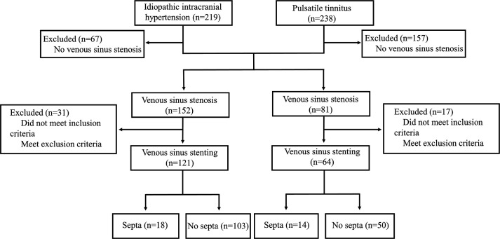 Dural sinus septum: an underlying cause of cerebral venous sinus stenting failure and complications.