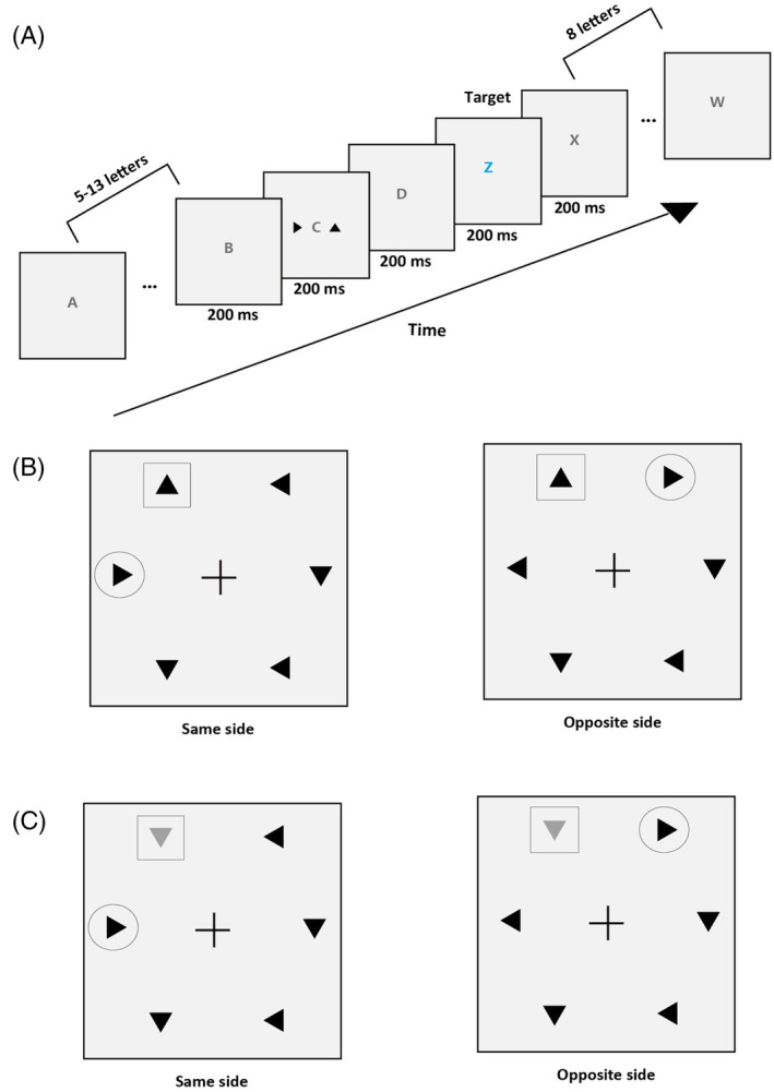Different neural mechanisms for nonsalient trained stimuli and physically salient stimuli in visual processing.
