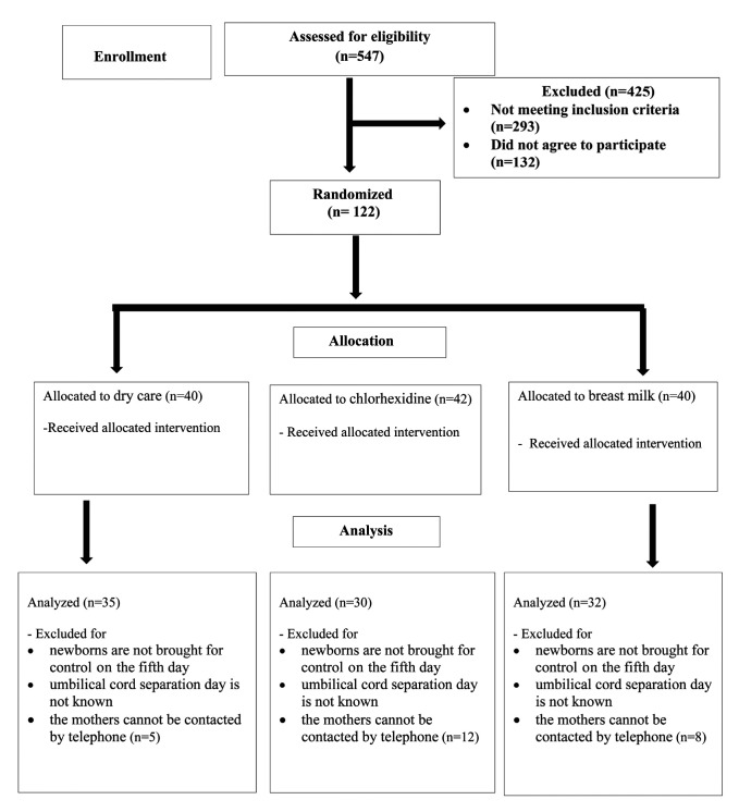 COMPARISON OF THE EFFECTIVENESS OF BREAST MILK, DRY-KEEPING, AND USE OF CHLORHEXIDINE IN UMBILICAL CORD CARE.