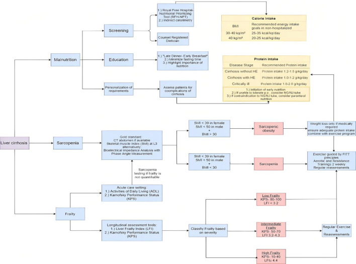 Clinical Overview of Sarcopenia, Frailty, and Malnutrition in Patients With Liver Cirrhosis.
