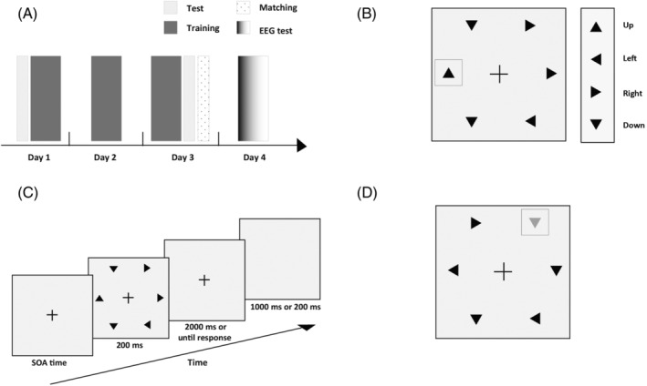 Different neural mechanisms for nonsalient trained stimuli and physically salient stimuli in visual processing.