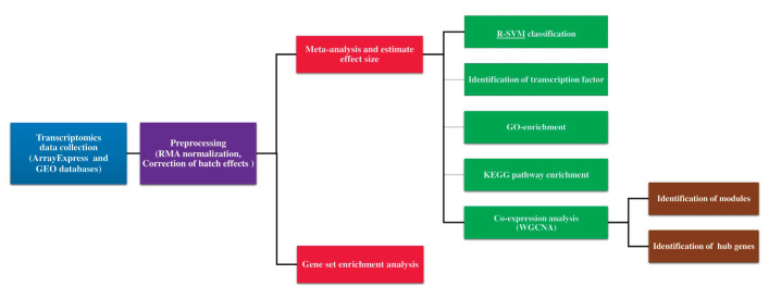 A Meta-analysis of Transcriptome Data to Investigate the Effect of Soy Isoflavones on Breast Cancer Cell.