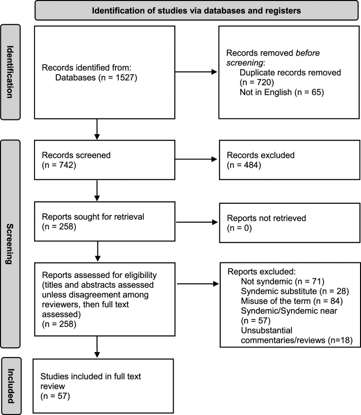 Conceptualizing COVID-19 syndemics: A scoping review.