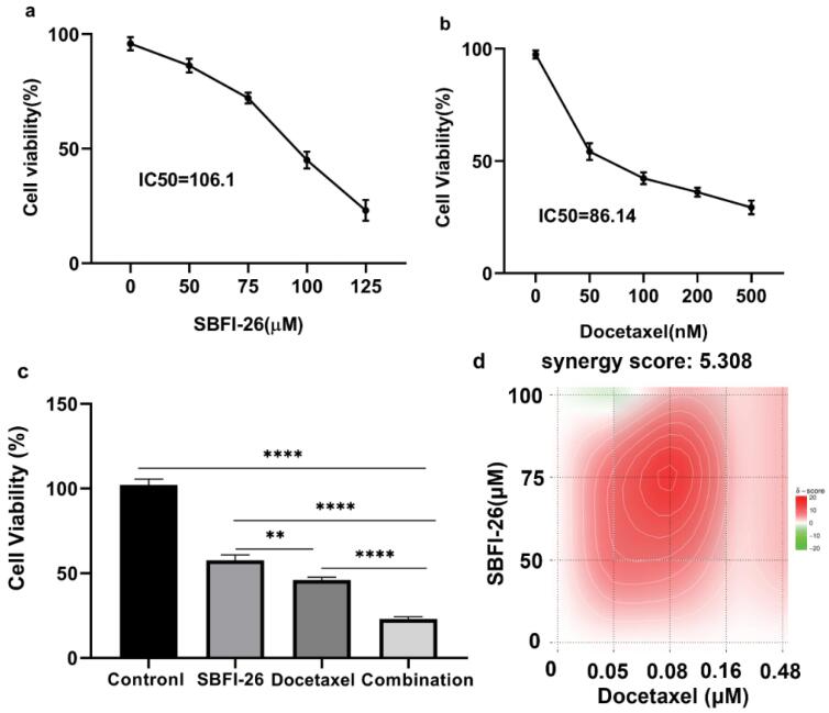SBFI-26 enhances apoptosis in docetaxel-treated triple-negative breast cancer cells by increasing ROS levels.