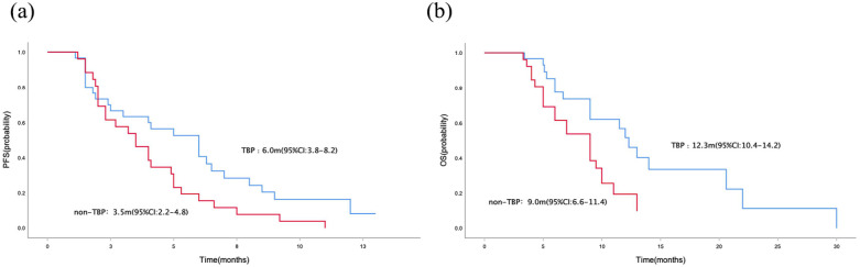 In era of immunotherapy: the value of trastuzumab beyond progression in patients with trastuzumab-resistant HER2-positive advanced or metastatic gastric cancer.