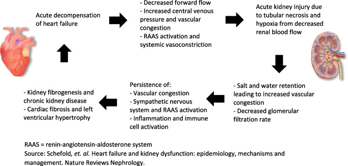 Evolutions in Combined Heart-Kidney Transplant.